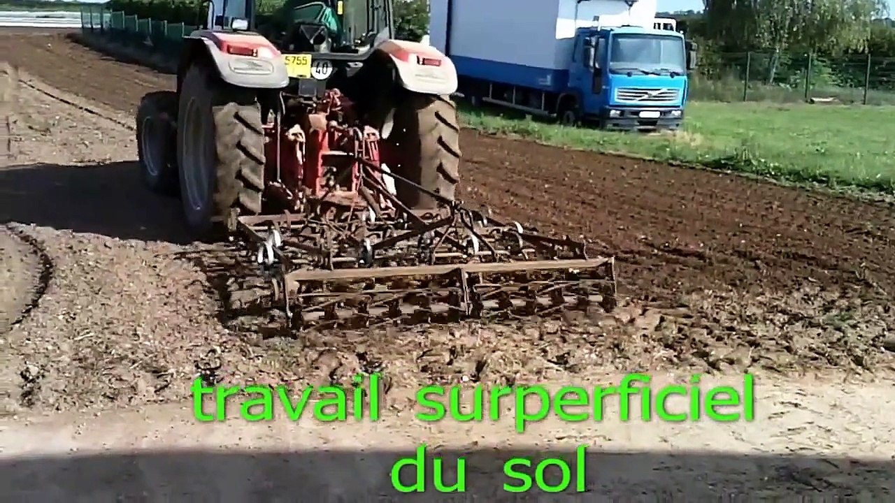 la culture du poireau