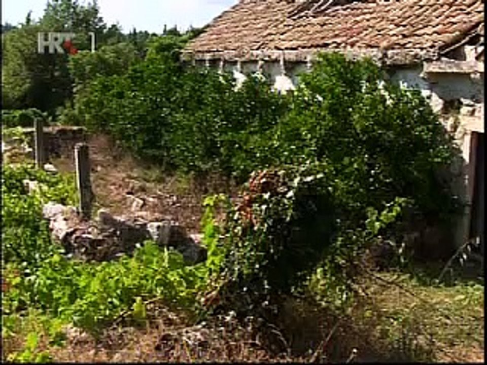 Cavtat i Konavle - povijest - history