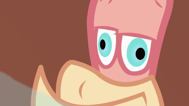 My Little Pony: La Magía de la Amistad [1x22] | La Aventura del Ave [Español Latino[Español Latino][HD]