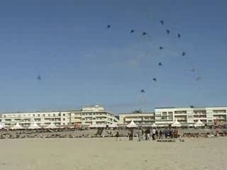 Cerf-volant Berck 2006 Méga-Team
