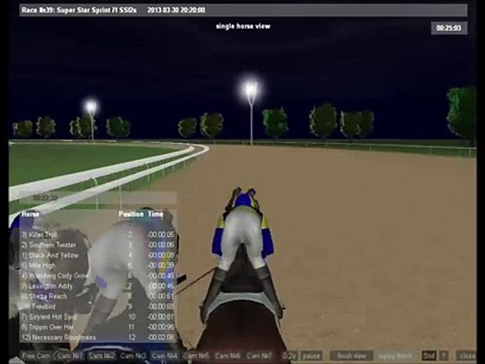 DigitalDowns.us- Virtual Horse Racing