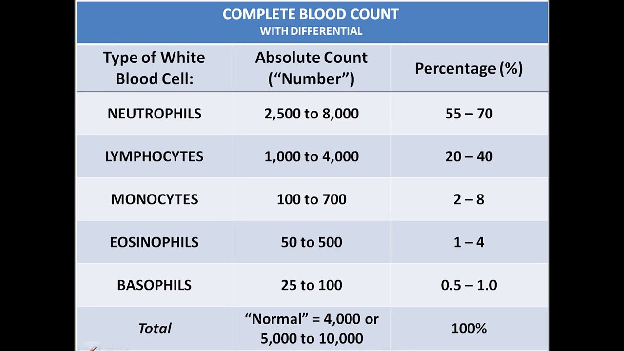 CBC/White Blood Cell Differential Absolute Count vs. Percentage