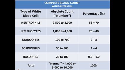 CBC/White Blood Cell Differential - Absolute Count vs. Percentage (%)