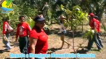 Manglares Manuel Avila Camacho, más vivo que nunca...Tonalá, Chiapas