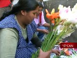 Desarrollo integral, sostenible y productivo con coca en Bolivia