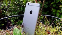 iPhone 6S или iPhone 7 технические характеристики, дизайн, дата выхода, новости, слухи