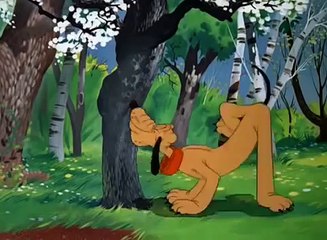 Pluto   Springtime for Pluto