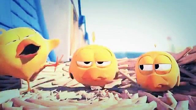 Funny Birds _2016_ Funny Pakistani Videos_ Funny Birds _