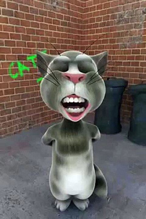 gato cantando