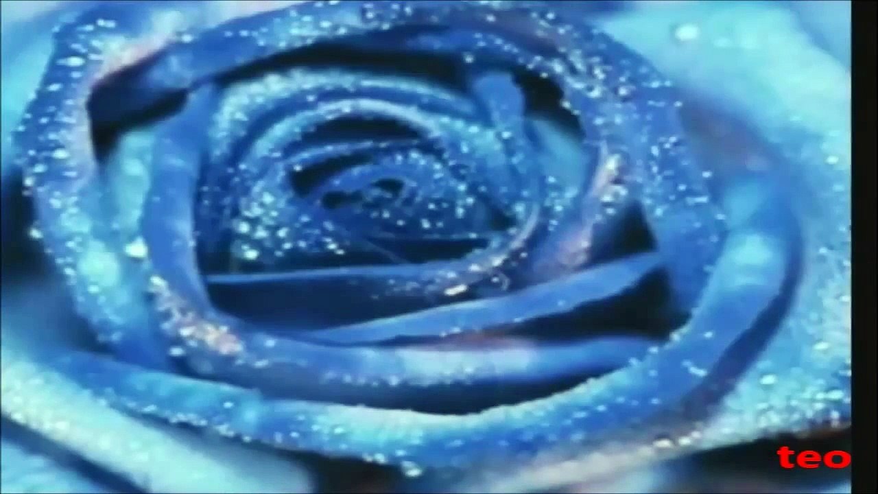 Pulp Fiction Soundtrack- Dick Dale & His Del-Tones- Misirlou