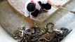 Brave Boy Playing with so many Snakes & Cobras - Very daring - Must watch - Video Dailymotion