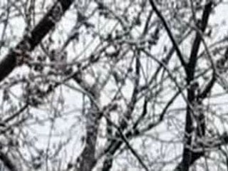 Neige du 12 avril 2007