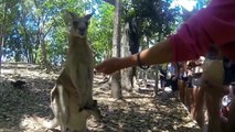 WEP Educational Adventure Trip to Cairns Australia