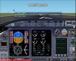 Flight simulator 2002 short flight