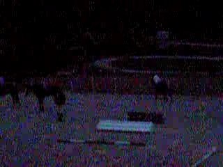 Cali moi saut de puce