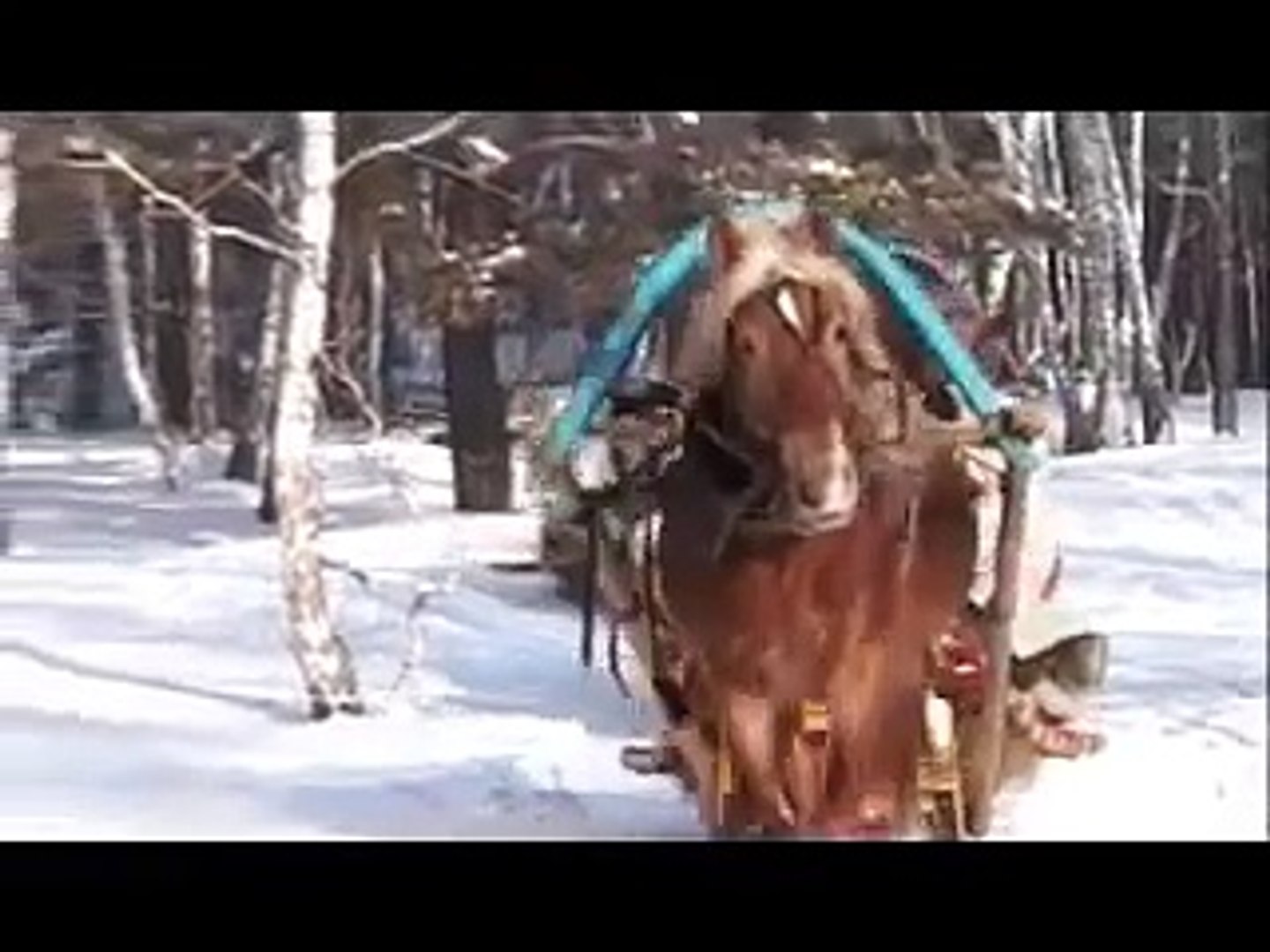 ⁣Russian House - A Video Tour of The Russian House. Russian Troika