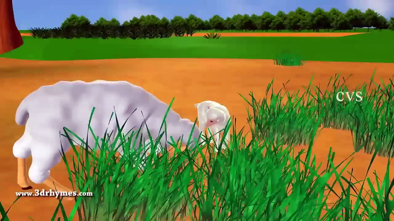 Cartoon Animation for Children-Bingo Dog Song