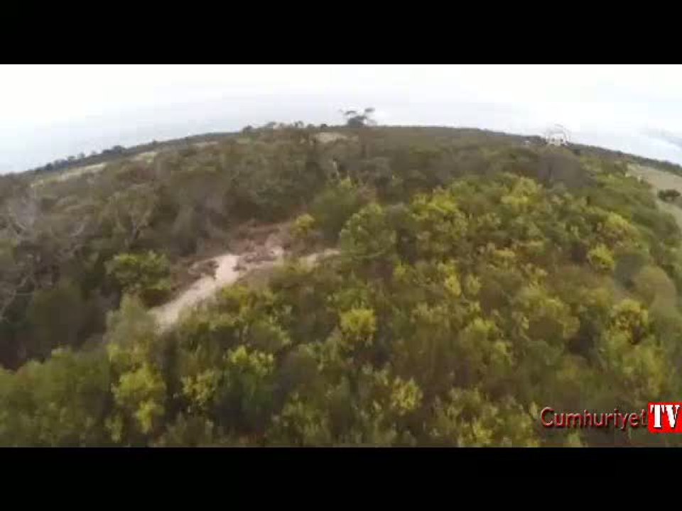 Kartal insansız hava aracı avladı