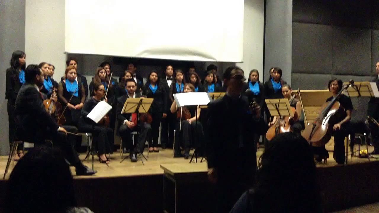 Mozart, Gloria K.317