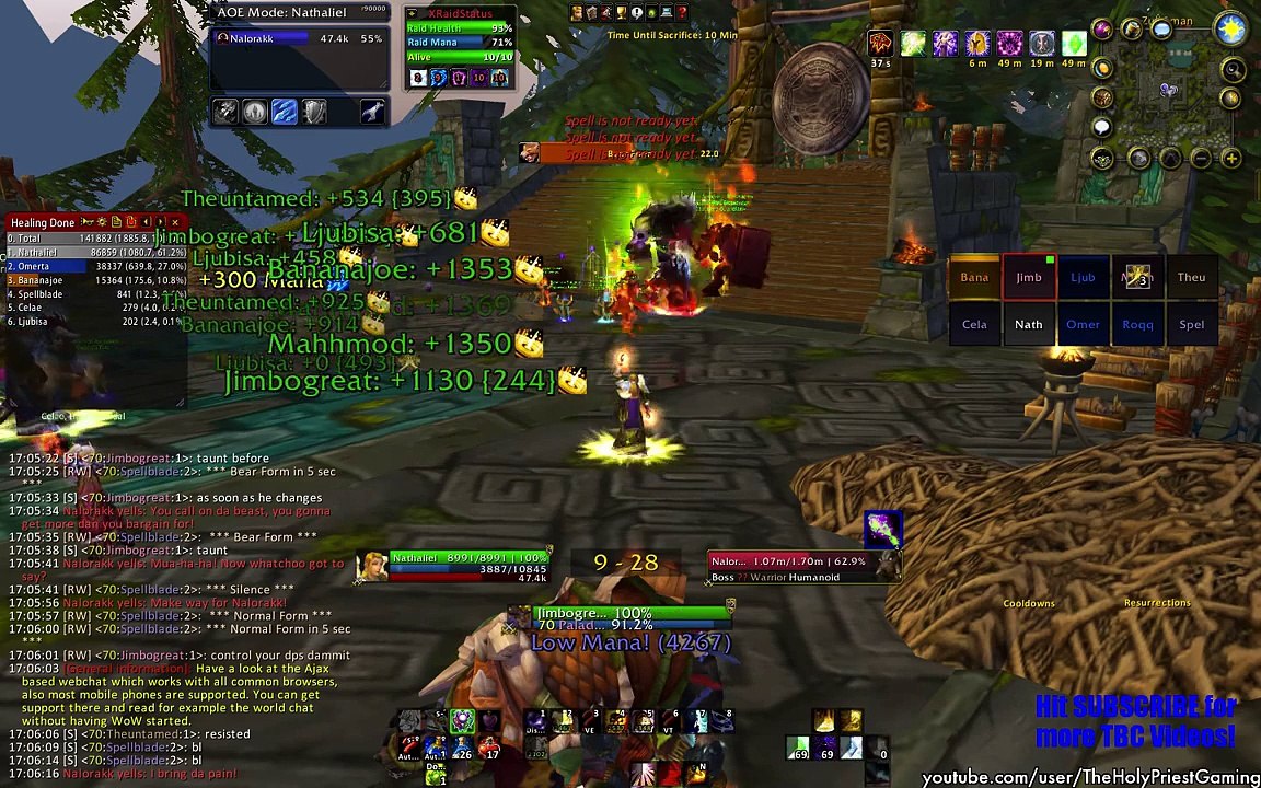 Zul´Aman: Nalorakk (Bear Boss) The Burning Crusade 2.4.3 (Holy Priest PoV)