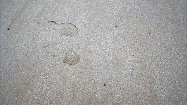 trouver chaussure à son pied