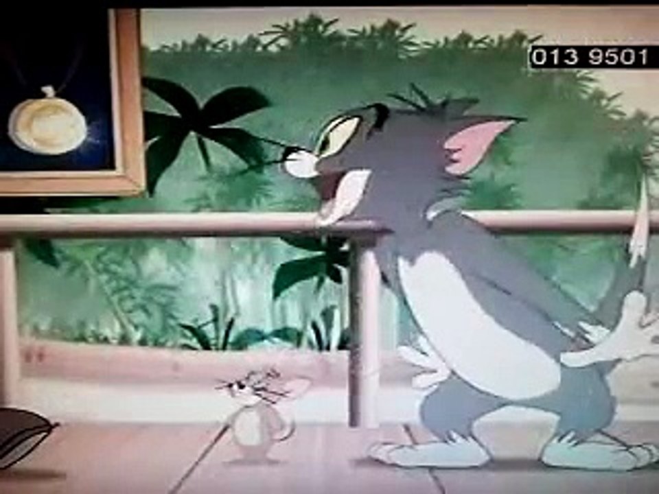 Tom and Jerry Cartoon" Tiger Cat- Down Beat Bear