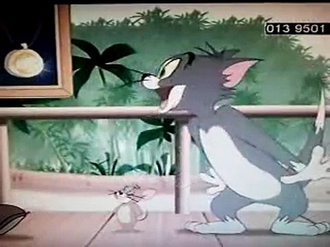 Tom and Jerry Cartoon Tiger Cat- Down Beat Bear