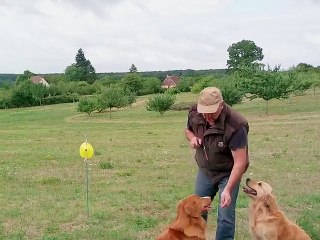 double mémoires, deux chiens, 130 metres