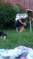 Kid has trouble to gather kittens and it's hilarious