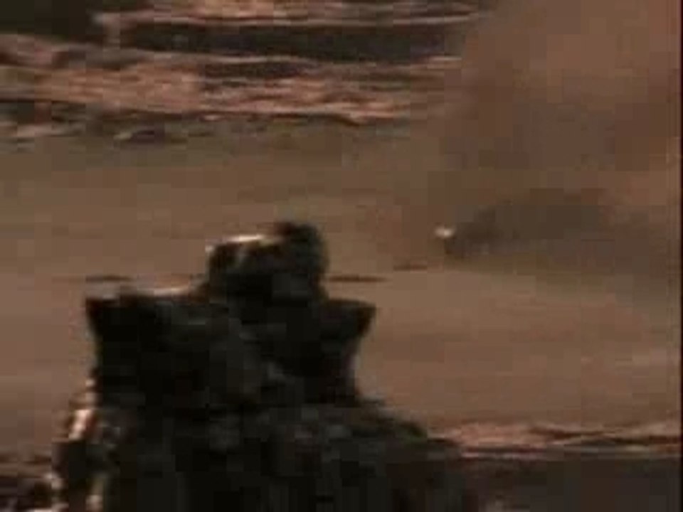 No War-lol