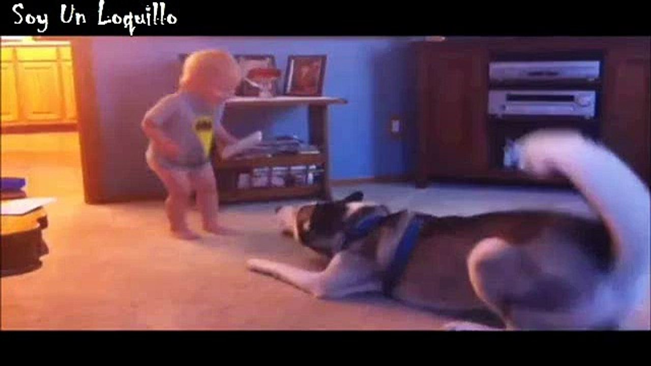 Video Enternecedor: Así es el 'diálogo' entre un bebé y su perro | Video endearing