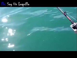 'Increble' Hombres Pescan una Orca Gigante