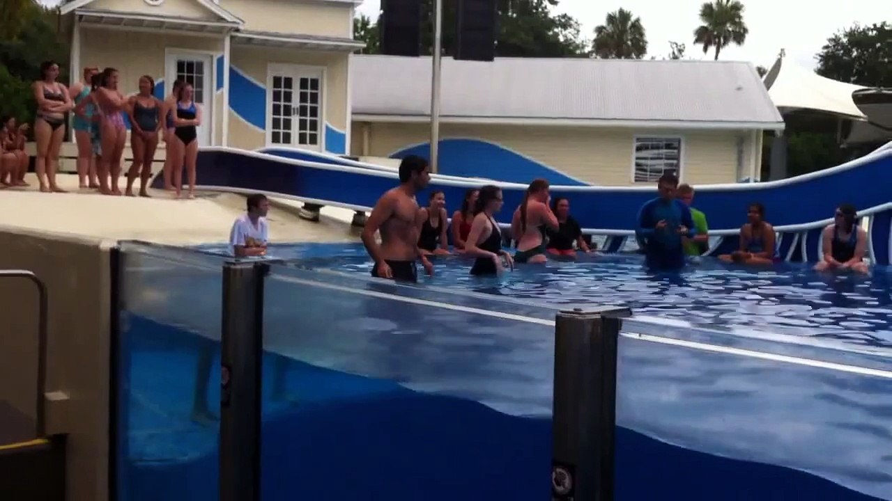 Animal trainer swim test-SeaWorld Career Camp