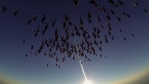 World Record Skydiving Formation with 164 skydivers!