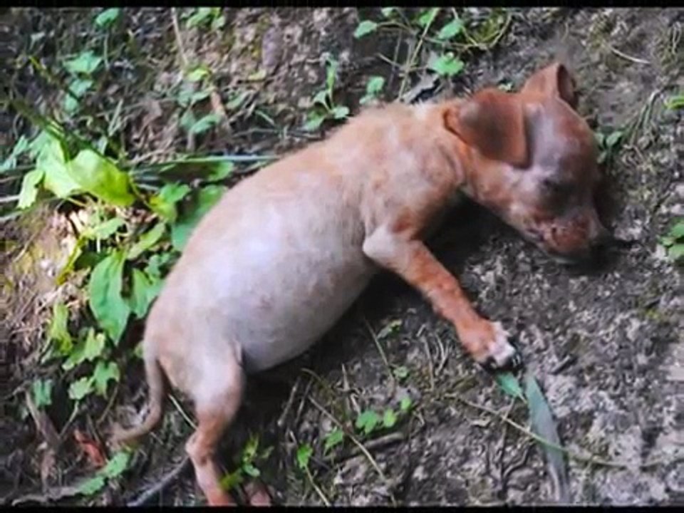 If today was your last day_0001.wmv