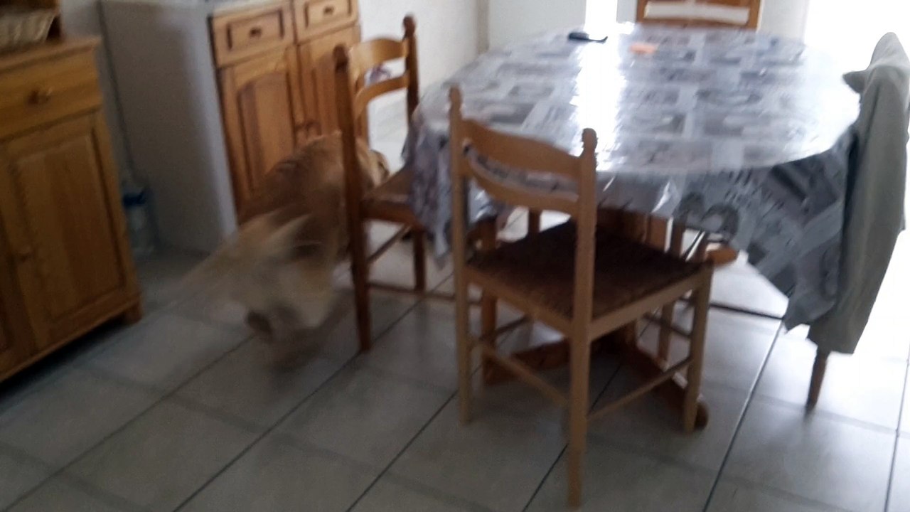 voy et stan cache cacha