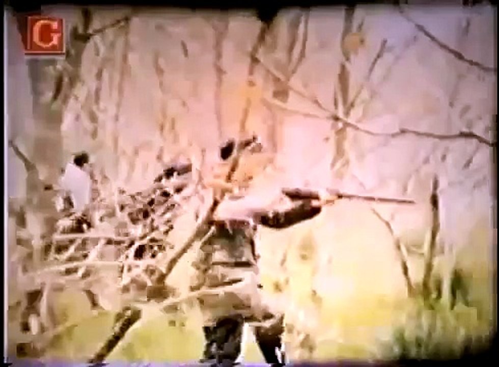 Man transforms into werewolf live on camera