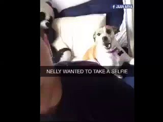 Nelly Wants To Take A Selfie