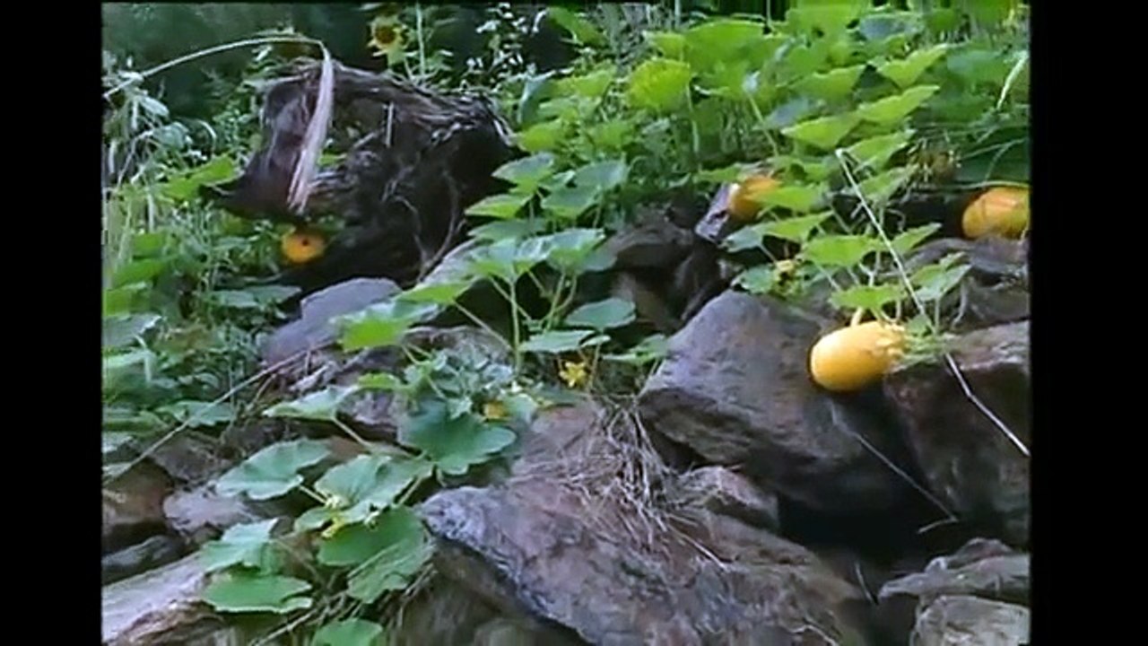 Sepp Holzer. Un rebelde agrario, en castellano