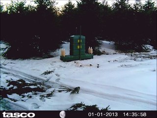 Lyme Disease Outbreak on Plum Island: What You Need to Know 🕷️