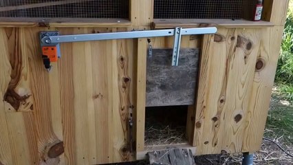 Porte automatique pour poulailler