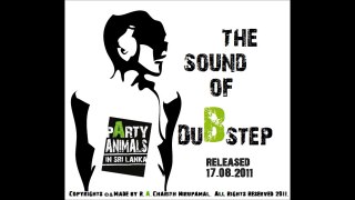 The Sound Of Dubstep (Party Animals In Sri Lanka.) - 02