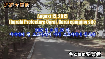 ガールズ＆パンツァー