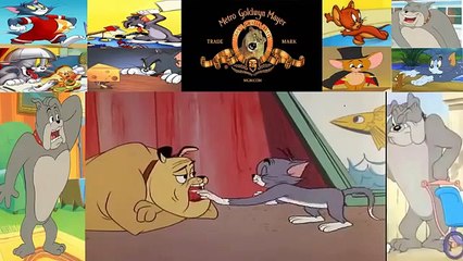 [NEW] Tom en jerry cartoon, MUCH ADO ABOUT MOUSING