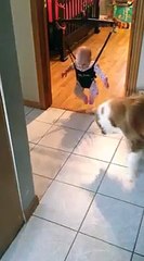 Ally & Day, Dog teaching baby to jump