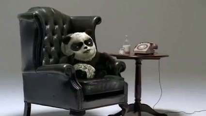 Fox's Biscuits Advert: Funny Panda