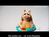 Nathan Fillion junto a Miss Piggy en la promo de The Muppets (Subtitulos en Español)