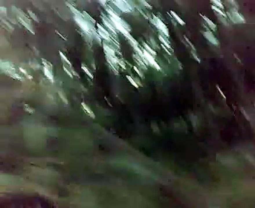 جولة في مزارع الأحساء