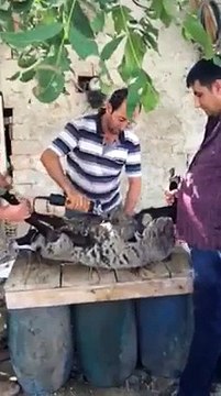 Burdur Tefenni Yuva Köyü Doğası - 08.2010 - Tefenni Yuva Nature Res