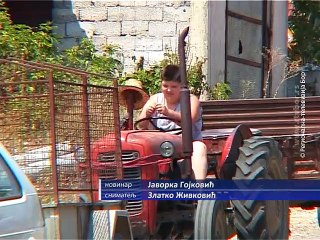 Pomoć poljoprivrednicima u Boljevcu, 15. avgust 2015. (RTV Bor)